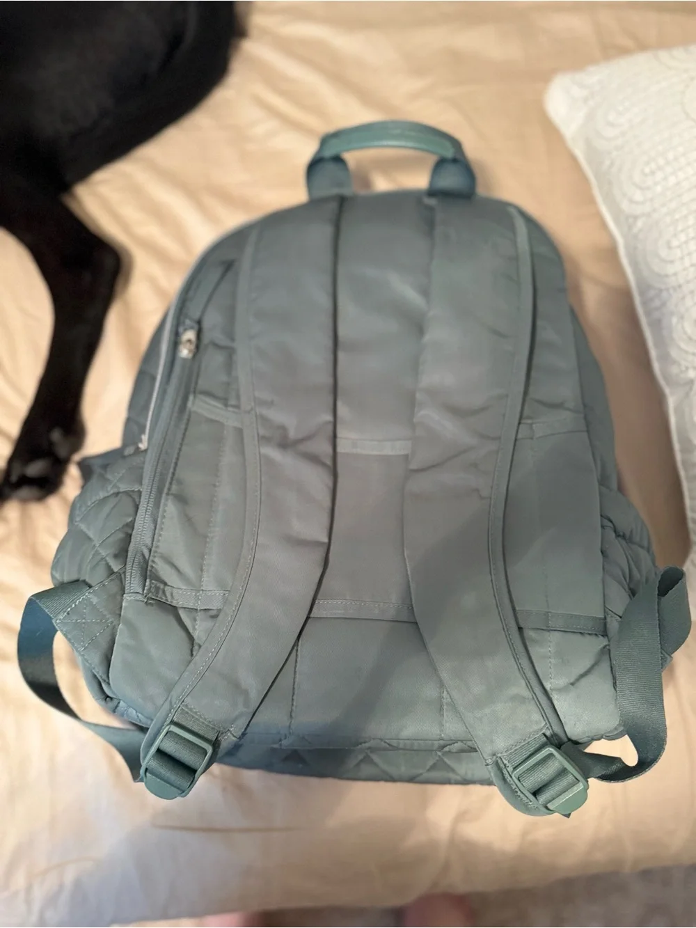 Vera Bradley Quilted Sage Green Backpack